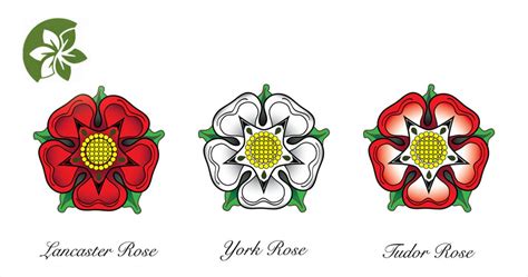 facts about the tudor rose - red rose england symbol.